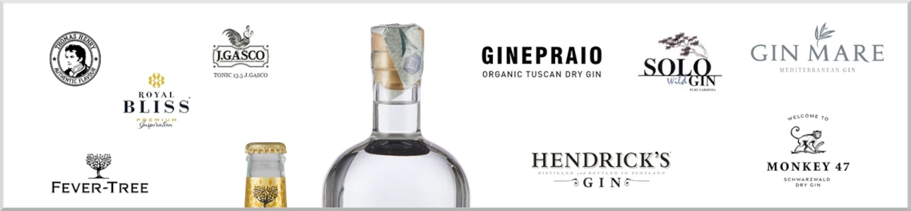 copertina gin tonica 1290x300 brd